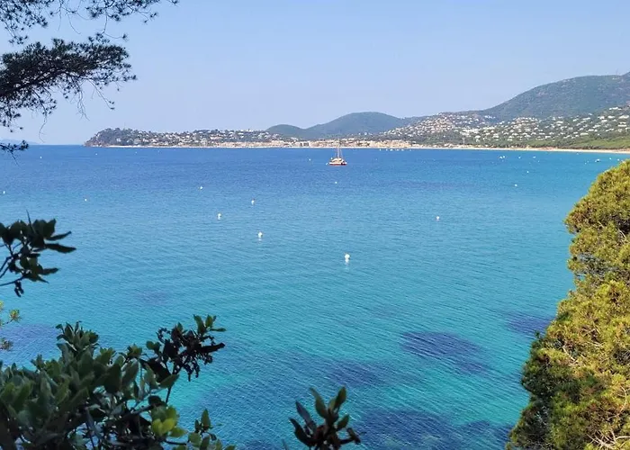 T3 A 50 M De La Cavalaire-sur-Mer